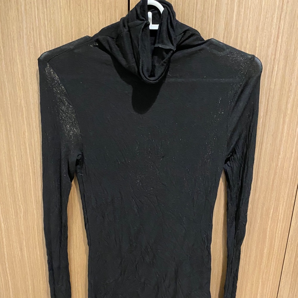 Black sheer turtleneck